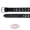 Collar Active con remaches de Trixie