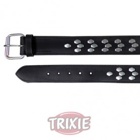 Collar Active con remaches de Trixie