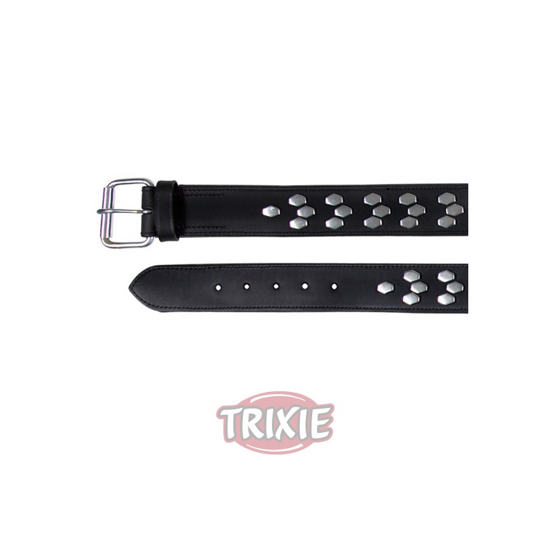 Collar Active con remaches de Trixie