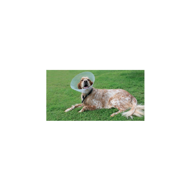 Collar Isabelino BRAUN