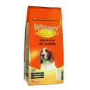 Willowy Gold Intensive, pienso para perros que requieren ganar peso