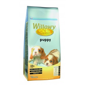 Willowy Gold Puppy