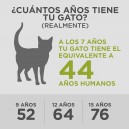 SP Feline  Adult 7+  Youthful Vitality con Pollo y Arroz
