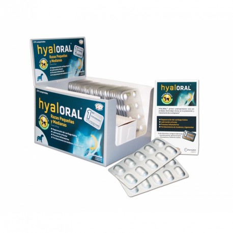 Hyaloral Razas Pequeñas y Medianas, complemento alimenticio para perros