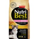 Pienso para gatos Picart NutriBest Kitten