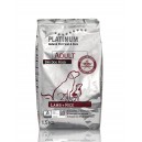 Platinum Natural Cordero y Arroz, pienso para perros naturales