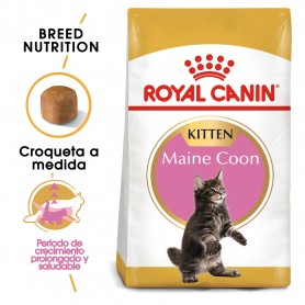 Pienso Royal Canin Maine Coon Kitten