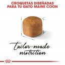 Croqueta pienso Royal Canin Maine Coon Kitten