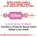 Pienso Royal Canin Maine Coon Kitten