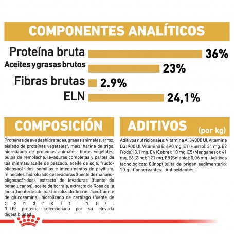 Ingredientes pienso Royal Canin Maine Coon Kitten