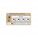 cantidad recomendada de pienso Royal Canin Maine Coon Kitten