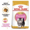 Pienso Royal Canin Kitten Persian para gatitos raza Persa