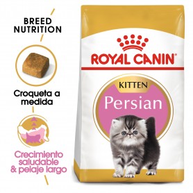 Pienso Royal Canin Kitten Persian para gatitos raza Persa