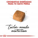 Croquetas pienso Royal Canin Kitten Persian para gatitos raza Persa