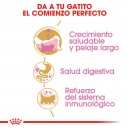Royal Canin Kitten Persian para gatitos raza Persa