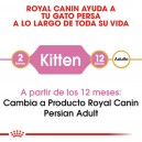 Royal Canin Kitten Persian para gatitos raza Persa