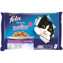 Purina Felix Fantastic Junior Grill en Gelatina, comida húmeda para gatos