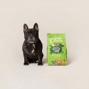Los mejores piensos sin cereales para perro Edgard & Cooper