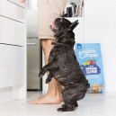 Los mejores piensos sin cereales Edgard & Cooper, para perros