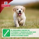 Pienso Hill's Science Plan Puppy Healthy Development ayuda con el crecimiento de los huesos