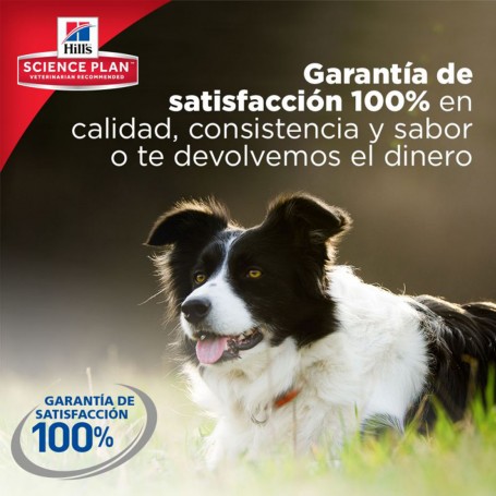 Pienso para perros Hill's Science Plan Adult Advance