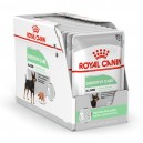 Royal Canin Digestive Care Pouch, comida húmeda para perros
