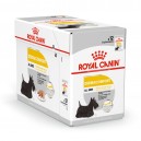 La mejor comida húmeda para perros de Royal Canin