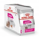 Royal Canin Exigent Pouch, comida húmeda para perros