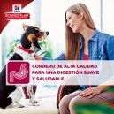 Hill's Science Plan Adult Advance Fitness Cordero y Arroz
