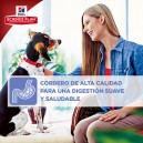 Hill's Science Plan Mature Adult 7+ Active Longevity Cordero y Arroz