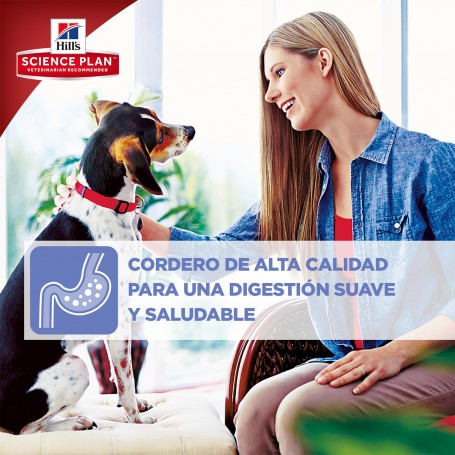 Hill's Science Plan Mature Adult 7+ Active Longevity Cordero y Arroz