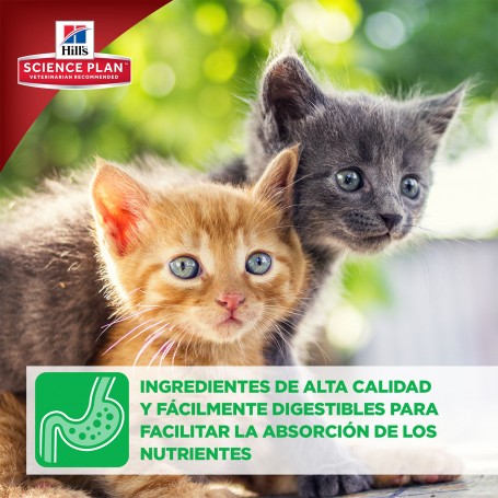 Hill's Science Plan Kitten con los mejores ingredientes de alta calidad