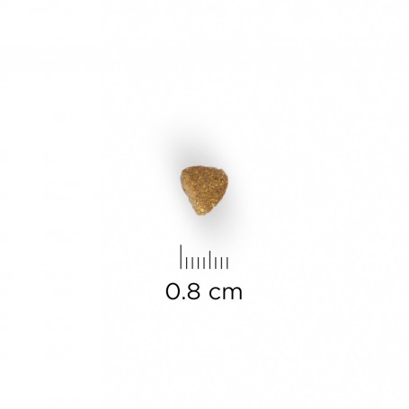 Croquetas de pienso Hill's Science Plan Kitten Healthy Development Pollo