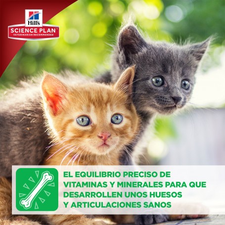 Hill's ofrece el equilibrio perfecto para tu gato
