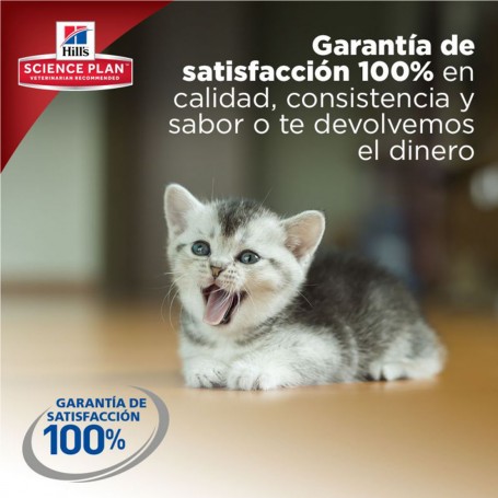 Hill's ofrece un pienso para gato con 100% satisfacción garantizada