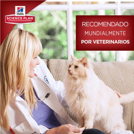Hill's Science, Comida Húmeda recomendada para tu gato