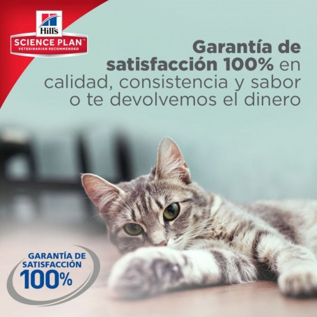 Comida Húmeda Hill's con 100% calidad de satisfacción