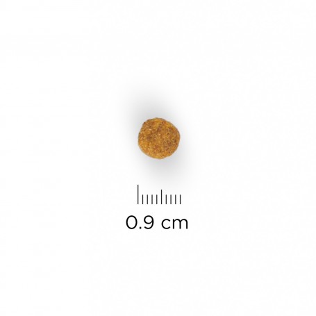 Croqueta pienso SP Feline  Adult 7+  Youthful Vitality con Pollo y Arroz