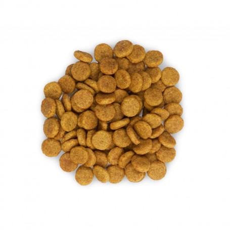 SP Canine  Adult 7+  Youthful Vitality Medium Breed con Pollo y Arroz