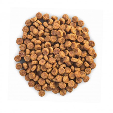 el mejor pienso Hill's Science Plan Canine Adult Small & Miniature Sensitive Stomach & Skin