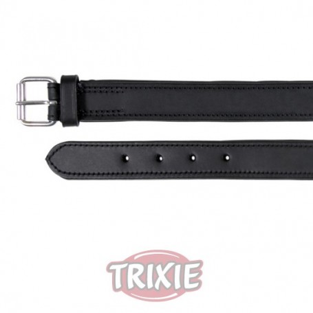 Collar Active