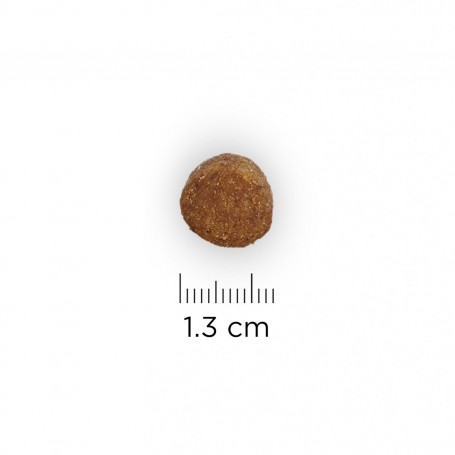 Croqueta pienso Hill's Prescription Diet Canine j/d Reduced Calorie