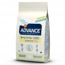 Advance Junior Sterilized, pienso para gatos esterilizados