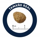 Croqueta de pienso Advance Junior Sterilized