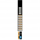 Purina Pro Plan Large Robust Adult