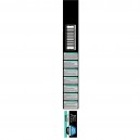 Purina Pro Plan Large Adult Robust Digest