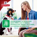 La mejor calidad en piensos para perros Hill's Puppy