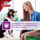 El mejor pienso Hill's en nuestra tienda de mascotas online