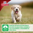 Hill's es un pienso que ayuda a mantener los pesos ideales de tu perro
