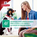 La mejor calidad en Hill's Science Plan Perfect Weight Canine Latas